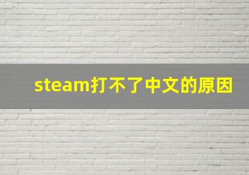 steam打不了中文的原因