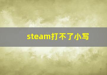 steam打不了小写