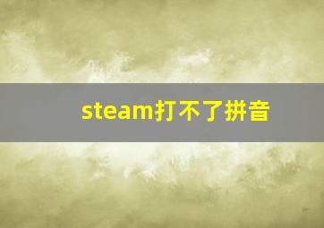 steam打不了拼音