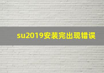 su2019安装完出现错误