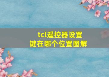 tcl遥控器设置键在哪个位置图解