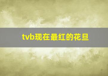 tvb现在最红的花旦