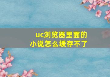 uc浏览器里面的小说怎么缓存不了