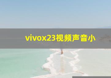 vivox23视频声音小