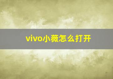 vivo小薇怎么打开