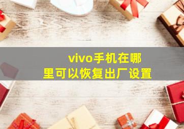 vivo手机在哪里可以恢复出厂设置