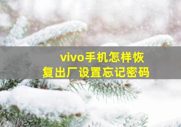 vivo手机怎样恢复出厂设置忘记密码