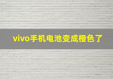 vivo手机电池变成橙色了