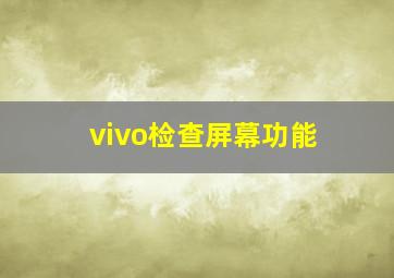 vivo检查屏幕功能