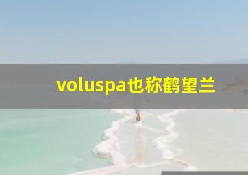 voluspa也称鹤望兰