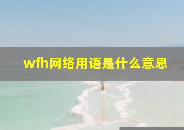 wfh网络用语是什么意思