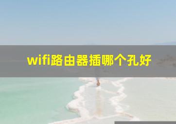 wifi路由器插哪个孔好