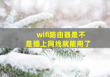 wifi路由器是不是插上网线就能用了