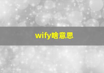 wify啥意思