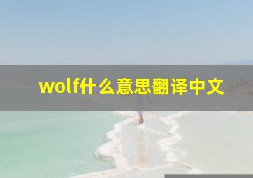 wolf什么意思翻译中文