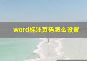 word标注页码怎么设置