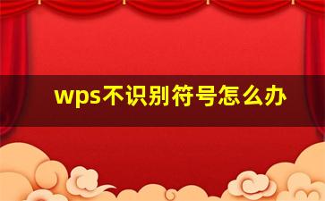 wps不识别符号怎么办