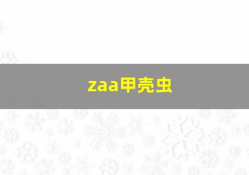 zaa甲壳虫