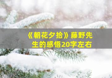 《朝花夕拾》藤野先生的感悟20字左右