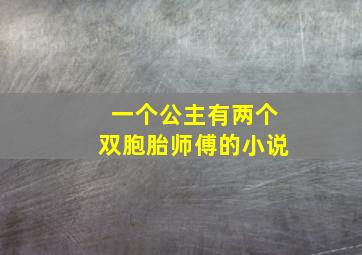 一个公主有两个双胞胎师傅的小说