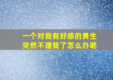 一个对我有好感的男生突然不理我了怎么办呢