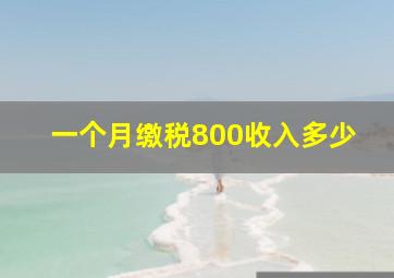 一个月缴税800收入多少