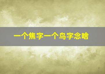 一个焦字一个鸟字念啥