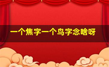 一个焦字一个鸟字念啥呀