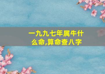 一九九七年属牛什么命,算命查八字