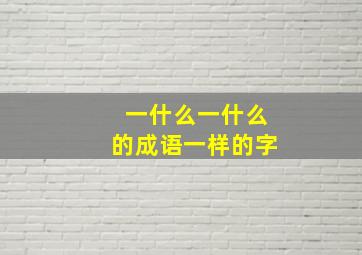 一什么一什么的成语一样的字