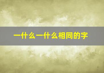 一什么一什么相同的字