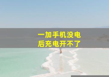 一加手机没电后充电开不了