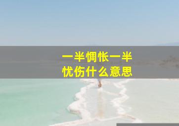 一半惆怅一半忧伤什么意思