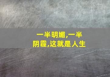 一半明媚,一半阴霾,这就是人生