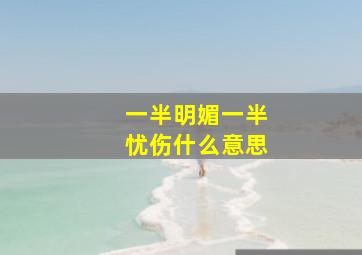 一半明媚一半忧伤什么意思