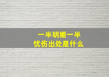 一半明媚一半忧伤出处是什么