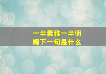 一半素雅一半明媚下一句是什么