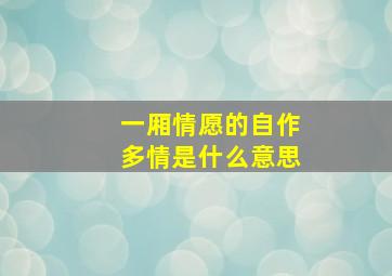 一厢情愿的自作多情是什么意思