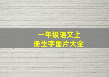 一年级语文上册生字图片大全