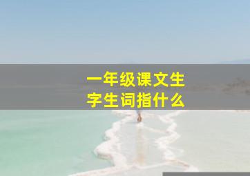 一年级课文生字生词指什么