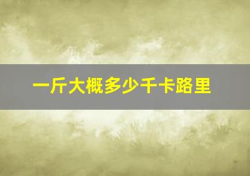 一斤大概多少千卡路里