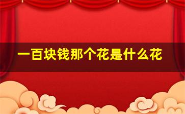 一百块钱那个花是什么花