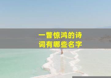 一瞥惊鸿的诗词有哪些名字