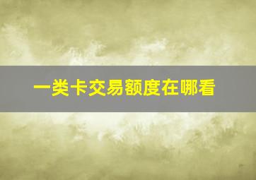 一类卡交易额度在哪看