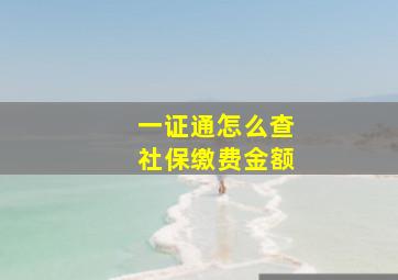 一证通怎么查社保缴费金额