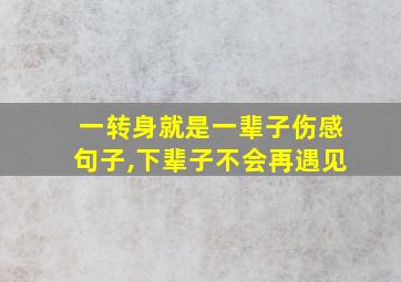 一转身就是一辈子伤感句子,下辈子不会再遇见