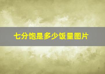 七分饱是多少饭量图片