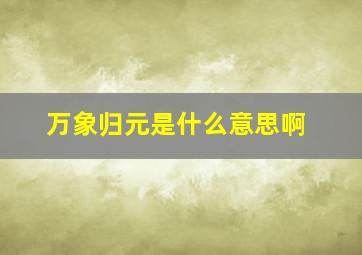 万象归元是什么意思啊