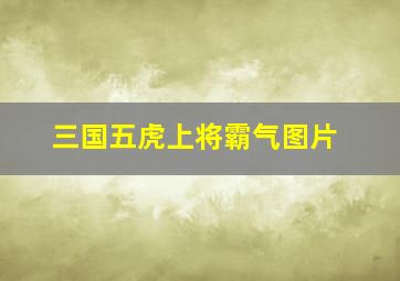 三国五虎上将霸气图片