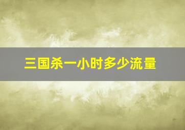 三国杀一小时多少流量